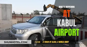 Chaos at Kabul Airport: Evacuation Efforts and Human Toll