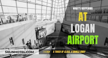 The Buzz at Logan Airport: Delays, Cancellations, and More