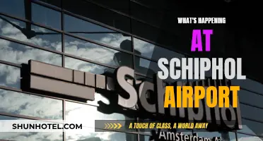 Chaos at Schiphol: Delays, Disruptions, and Discontent