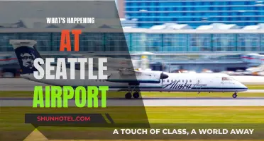 Seattle Airport: Unpredictable Events and Disruptions
