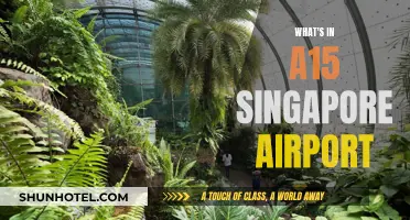 Exploring Singapore's Changi Airport Terminal 15