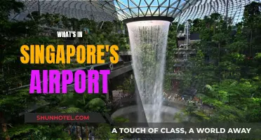 Singapore's Airport: A City of Wonders and Delights