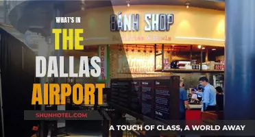 Dallas Airport: A Traveler's Guide to Amenities and Attractions