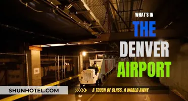 Denver Airport: A Hub of Conspiracy and Art