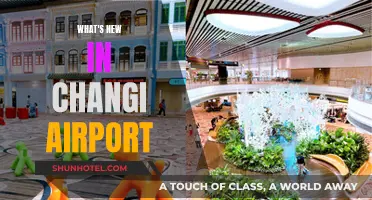 Changi Airport Unveils Exciting New Attractions and Amenities