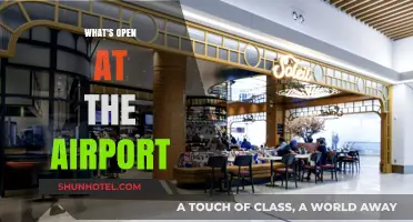 Airport Essentials: Discover What's Open for Travelers and Visitors