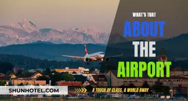 The Airport Experience: What's the Fuss About?