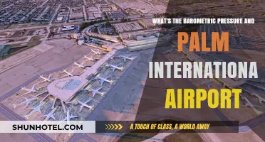 Palm International Airport's Barometric Pressure: Current Readings and Insights