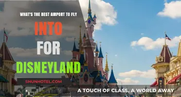 Top Airport Choices for Your Magical Disneyland Vacation Adventure