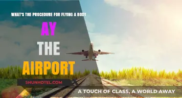 Flying with Human Remains: Airport Procedures and Guidelines Explained