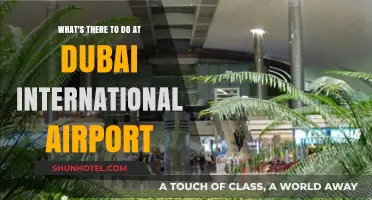 Exploring Dubai International Airport: Top Activities and Hidden Gems
