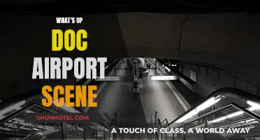 What's Up, Doc?' Airport Scene: Hilarious Chaos Unfold