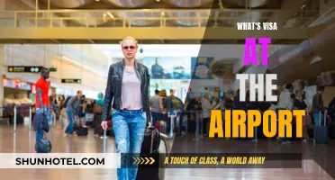 Understanding Visa Requirements at the Airport