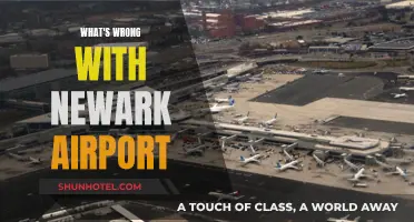 Newark Airport: A Traveler's Nightmare?