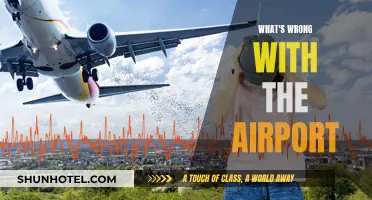 The Airport Experience: What's Wrong and How to Fix It