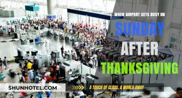 Sunday Rush: Navigating Crowded Airports After Thanksgiving Weekend