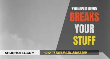 Airport Security: Broken Trust and Belongings