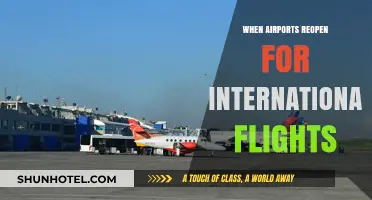 International Flights Resuming: What to Expect When Airports Reopen