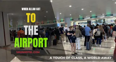 Allan's Airport Adventure: An Unexpected Journey Unfolds