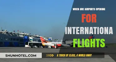 International Flights Resuming: When Are Airports Reopening for Global Travel?