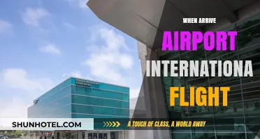 Navigating International Arrivals: Essential Tips for a Smooth Airport Experience