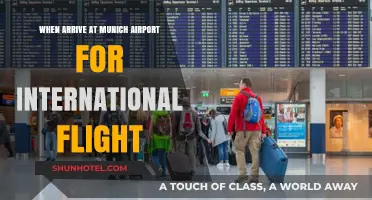 Arriving at Munich Airport: Tips for Smooth International Flight Check-In