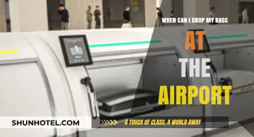 Airport Bag Drop: When Can I Check In?