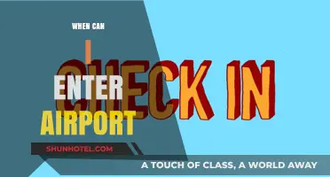 Arriving at the Airport: When to Enter?