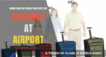Baggage Check: Timing and Size Limits at Airports