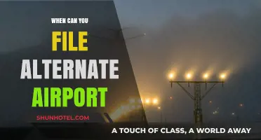 Navigating Flight Delays: Understanding Alternate Airport Filing
