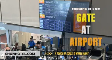Navigating Airport Gates: Timing Your Entry