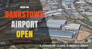Bankstown Airport's Historic Opening: A Journey Through Time
