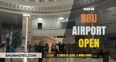 BBU Airport's Grand Opening: A Historical Overview of Its Launch