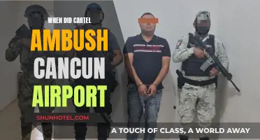 Cancun Airport Cartel Ambush: A Timeline of Events