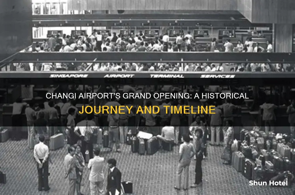 when did changi airport open