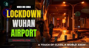 Wuhan Airport Lockdown: China's Response Timeline