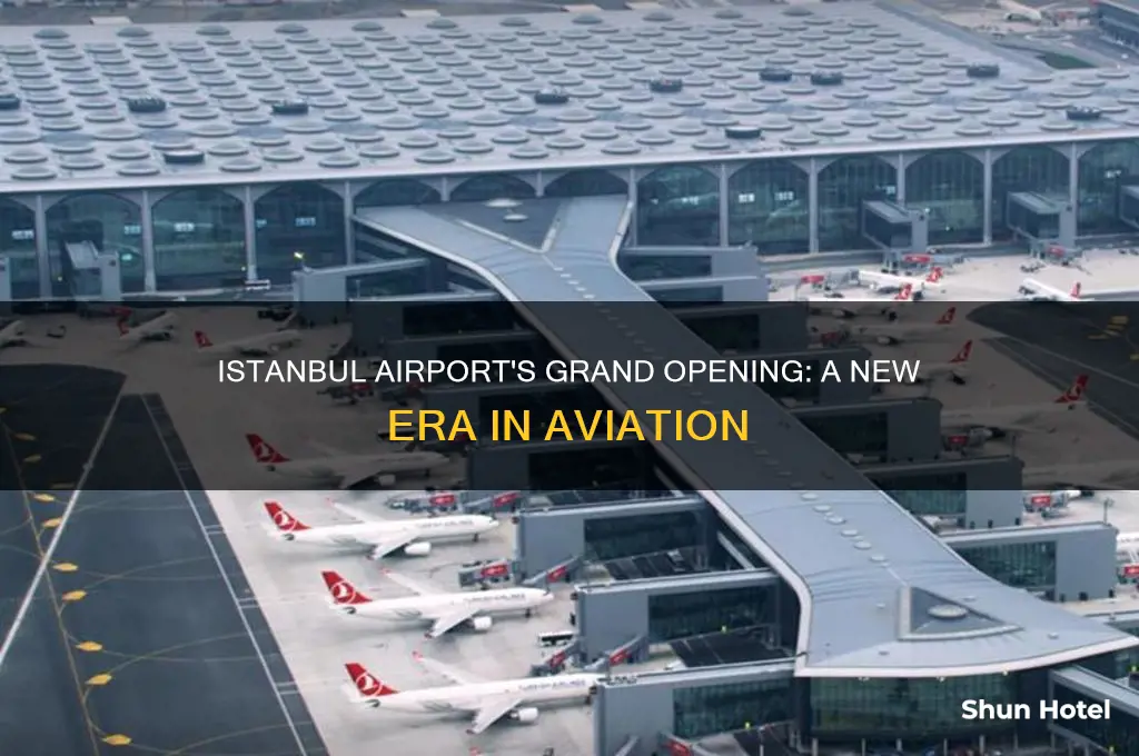 when did istanbul airport open