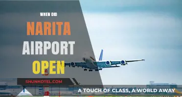 Narita Airport's Opening: A Historical Journey Through Time