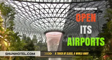 Singapore's Airports: A Historical Journey to Reopening Skies