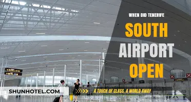 Tenerife South Airport: A Historical Overview of Its Opening