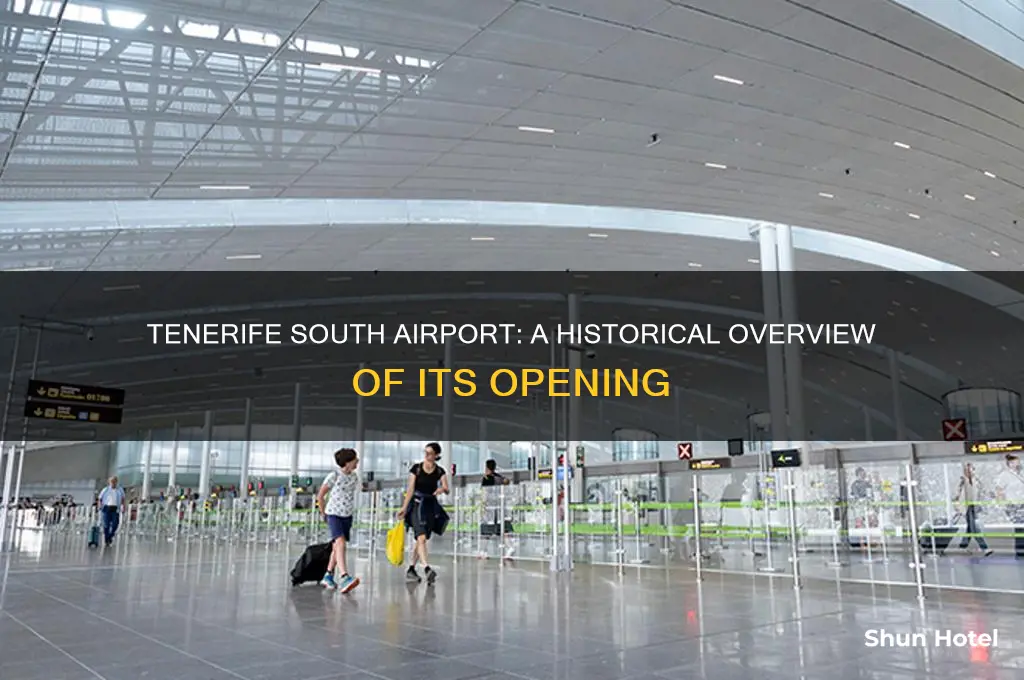 when did tenerife south airport open