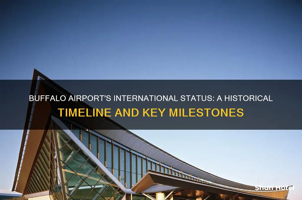 when did the buffalo airport became international