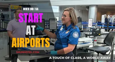 The Evolution of Airport Security: TSA's Inception