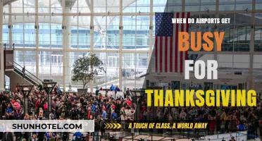 Thanksgiving Travel Rush: When Airports Get Busy for the Holiday