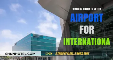 International Travel: Optimal Airport Arrival Times for Stress-Free Flights