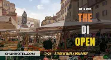 When Does the DI Open? A Comprehensive Guide to Operating Hours