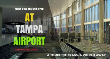Tampa Airport Gate Opening Times: What Travelers Need to Know