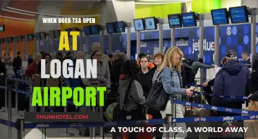 TSA Operating Hours at Logan Airport: Your Essential Guide
