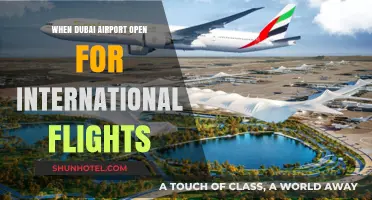 Dubai Airport Resumes International Flights: What Travelers Need to Know