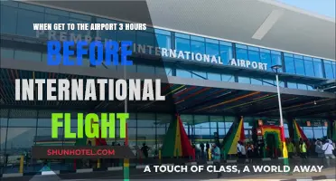 Early Airport Arrival: Mastering 3-Hour Prep for International Flights